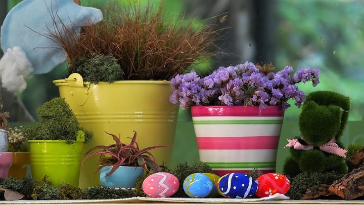 small and big plant pots