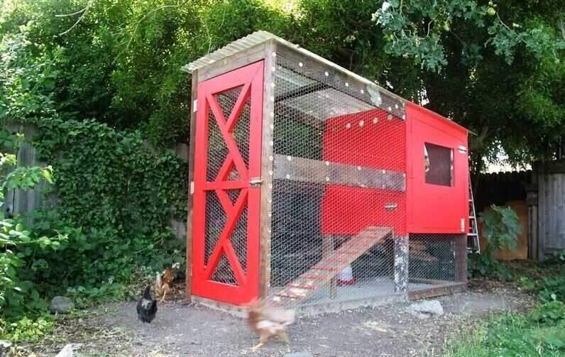 small chicken coop 1