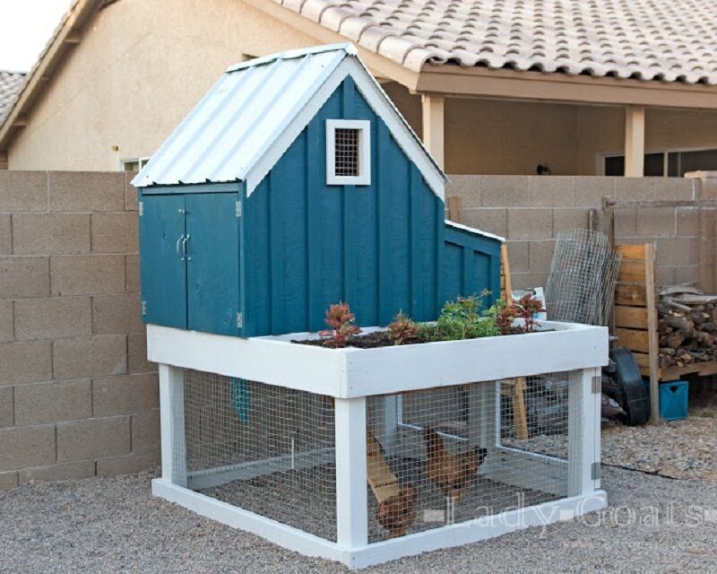 small chicken coop