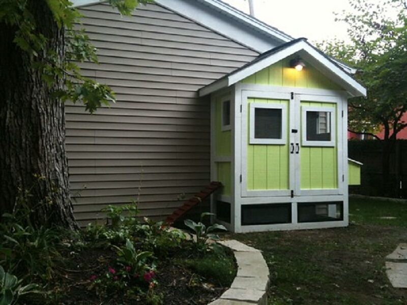 small shed chicken coop