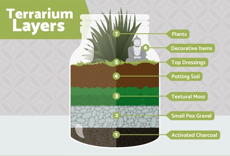 terrarium definition meaning