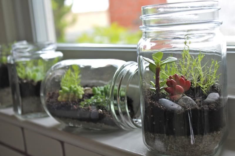 terrarium ideas jars