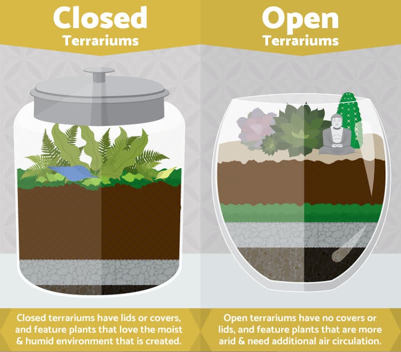 terrarium open vs sealed