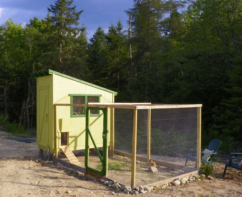 walk in chicken coop