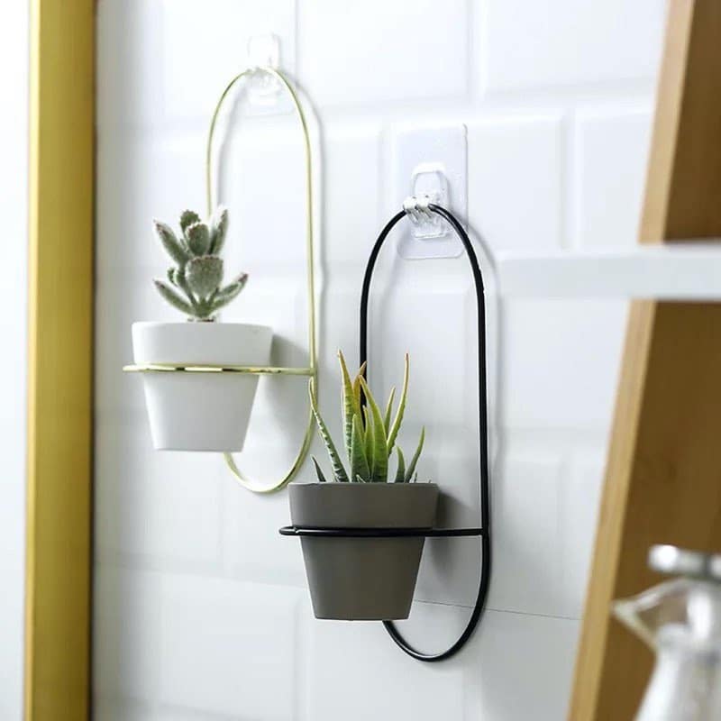wall plant pots hangers