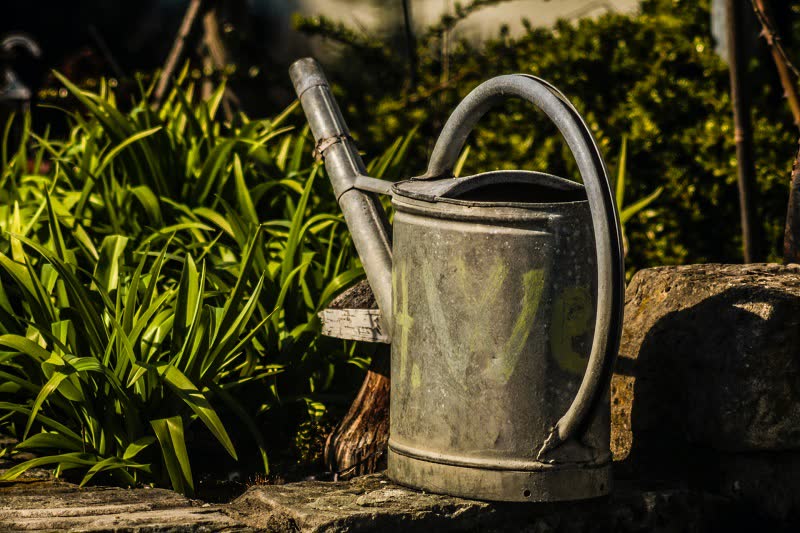 watering can for flowers