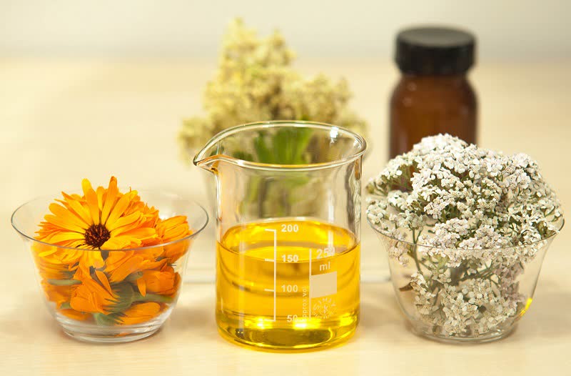 yarrow medicinal uses