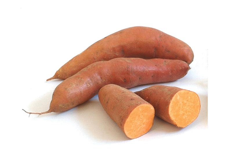 beauregard sweet potato