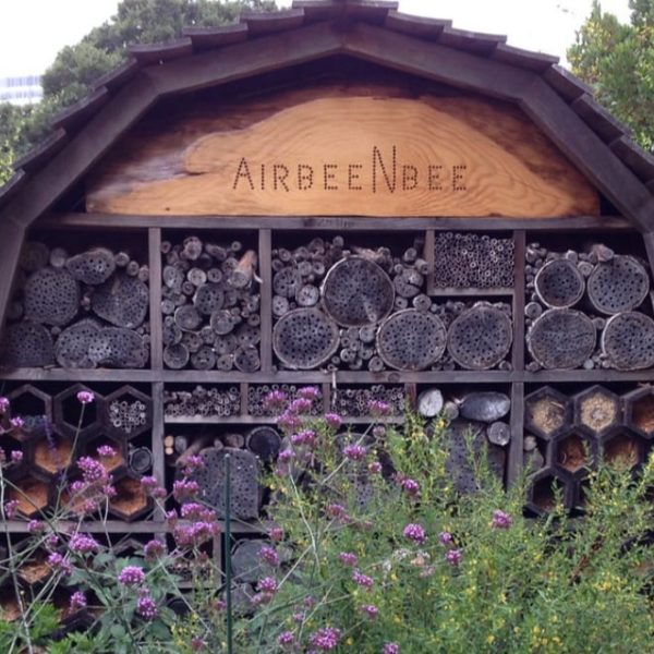 beautiful bees house in a flower garden