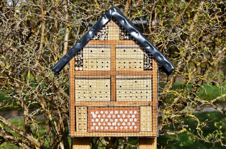 bees house three feet above ground