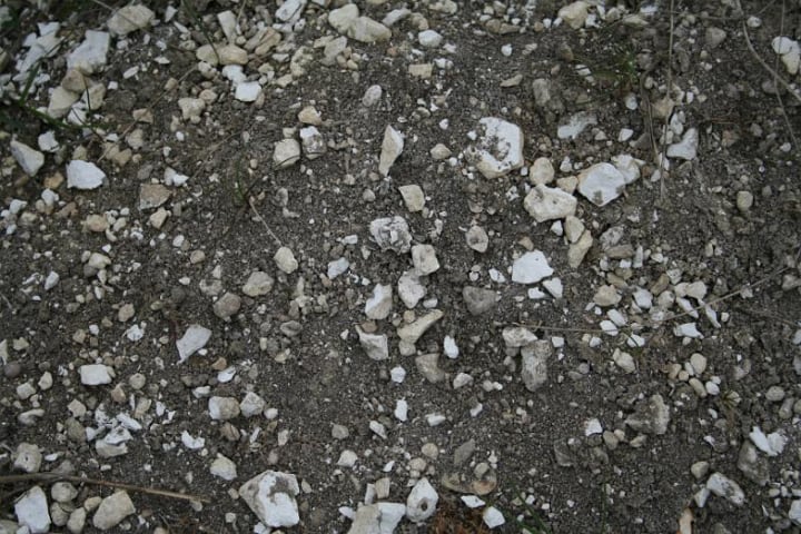 chalky soil type