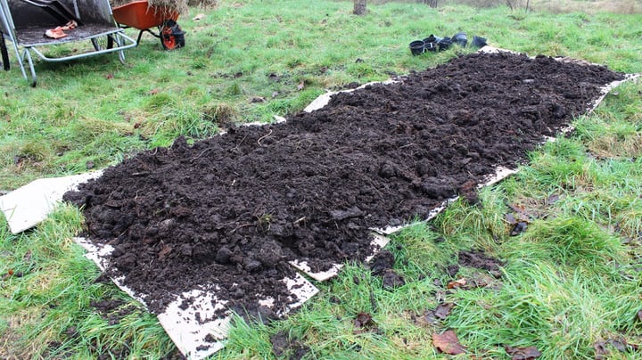 choosing soil for a raised garden beds