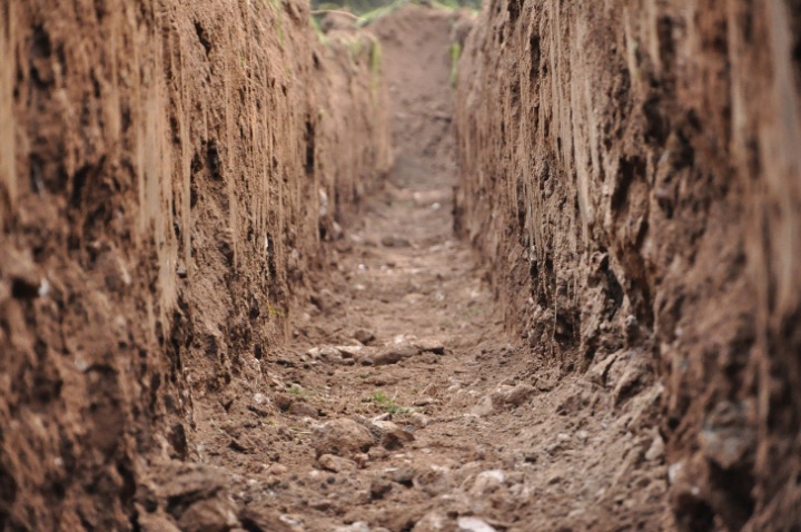 clay soil type