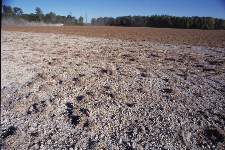 coat of lime in the farm soil