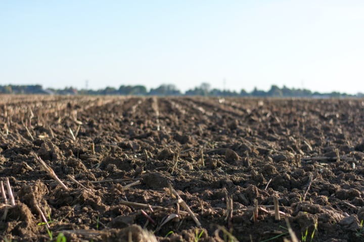 cultivated soil filled with organic and inorganic matters
