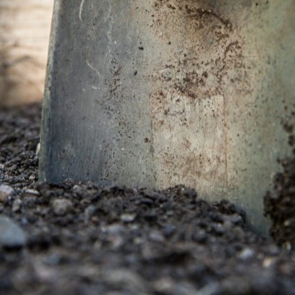 garden soil with a shovel