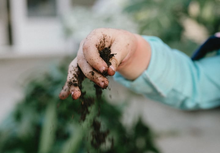 knowing your soil and how to use the most out of it