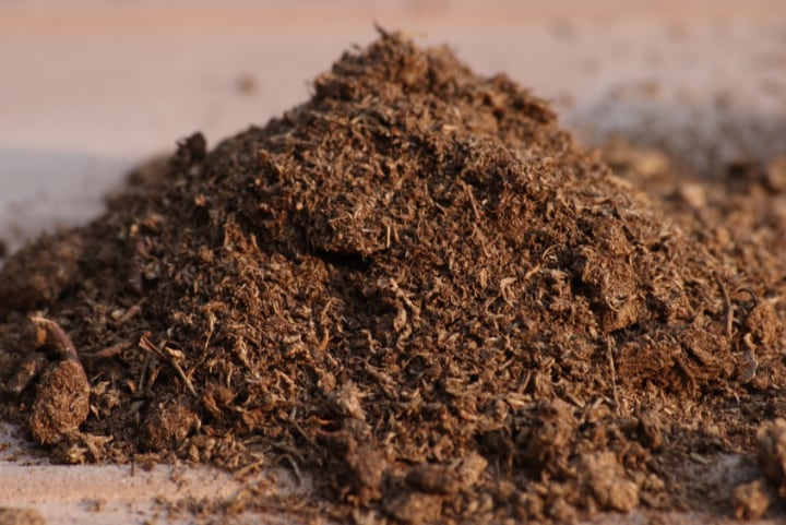 peat soil type