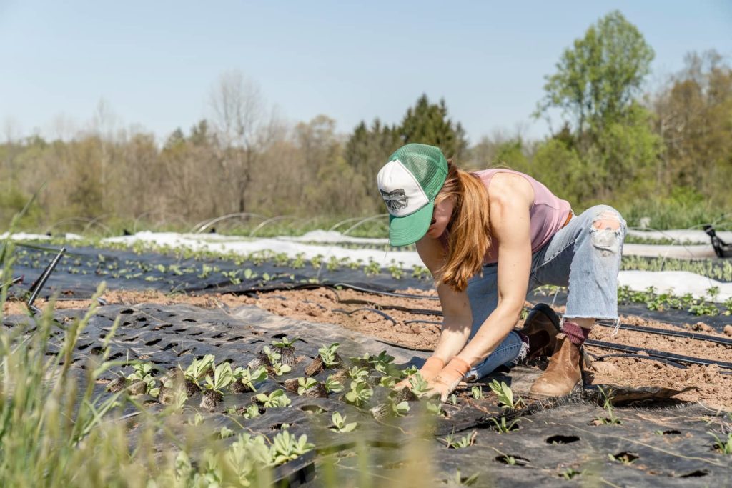 planted well owner planting vegetables