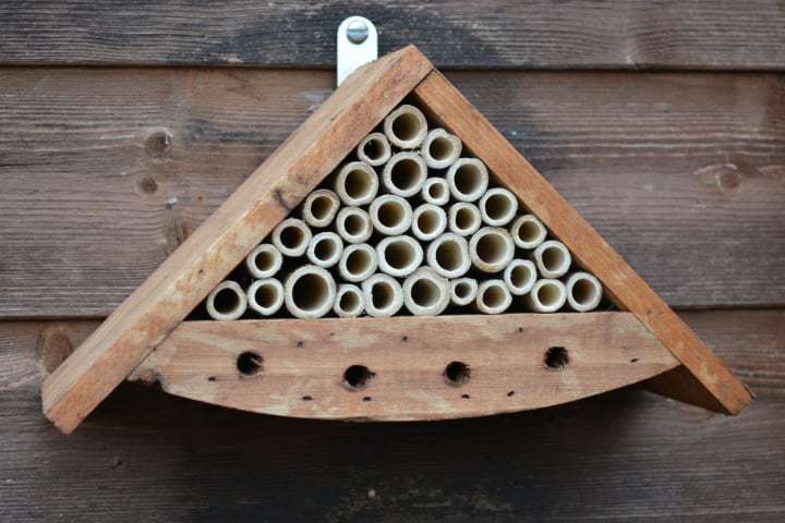 triangular bees house