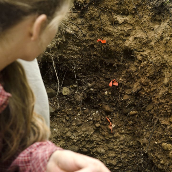 understandinng the soil profile of your garden