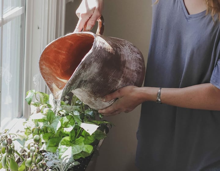 waterting plants indoors