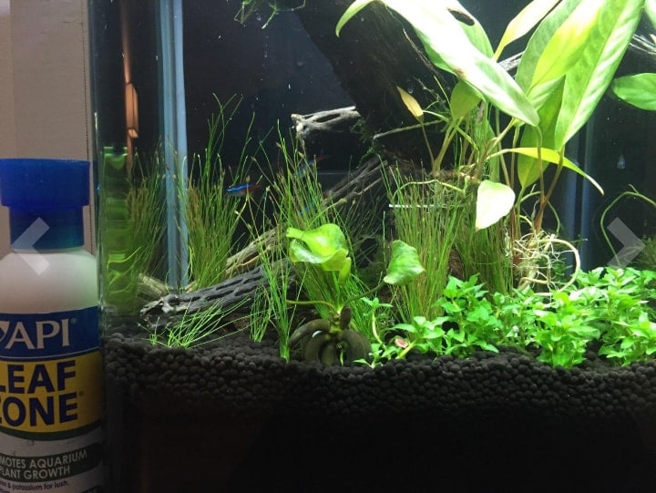 aquarium plant fertilizer beside tank