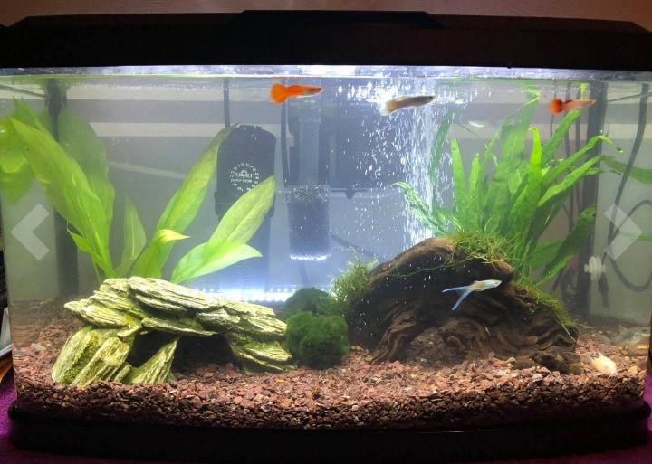 aquarium substrate