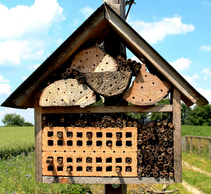 bee house with roof