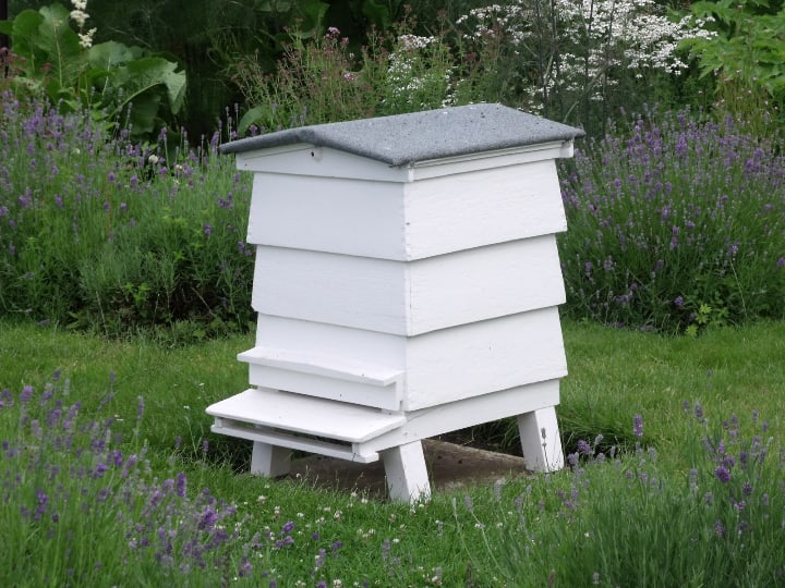 bees house in the garden