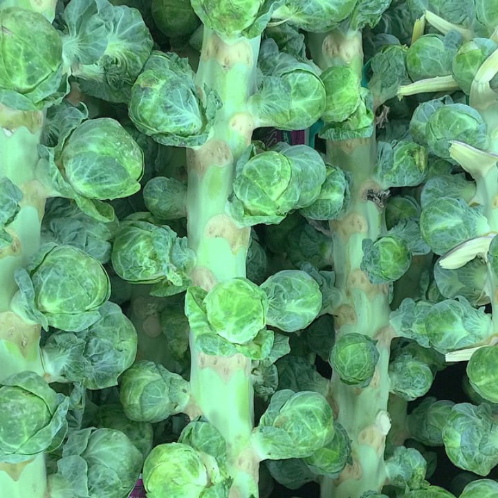capitola brussel sprouts