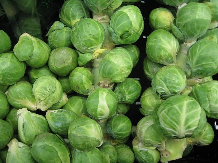 confidant brussel sprouts