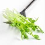 eating microgreens