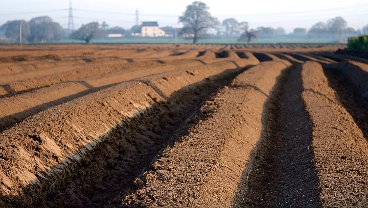 furrow