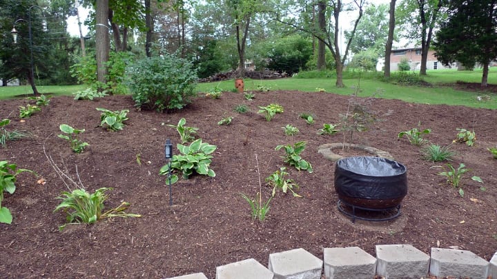 garden after mulching