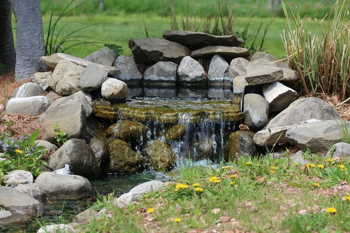 garden rocks on pond