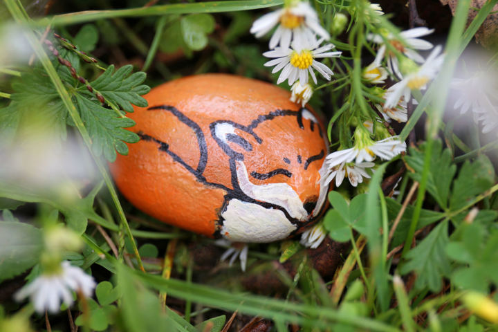 garden rocks painted