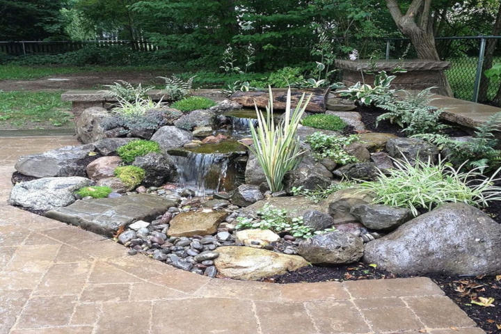 garden with rocks and flowers