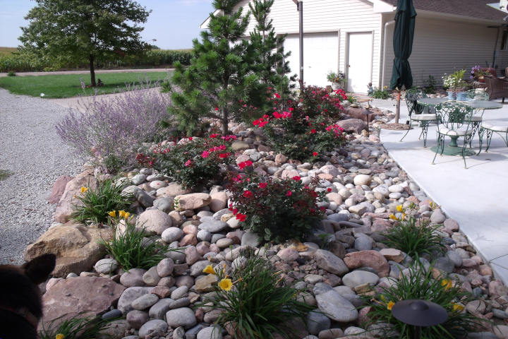 garden with rocks