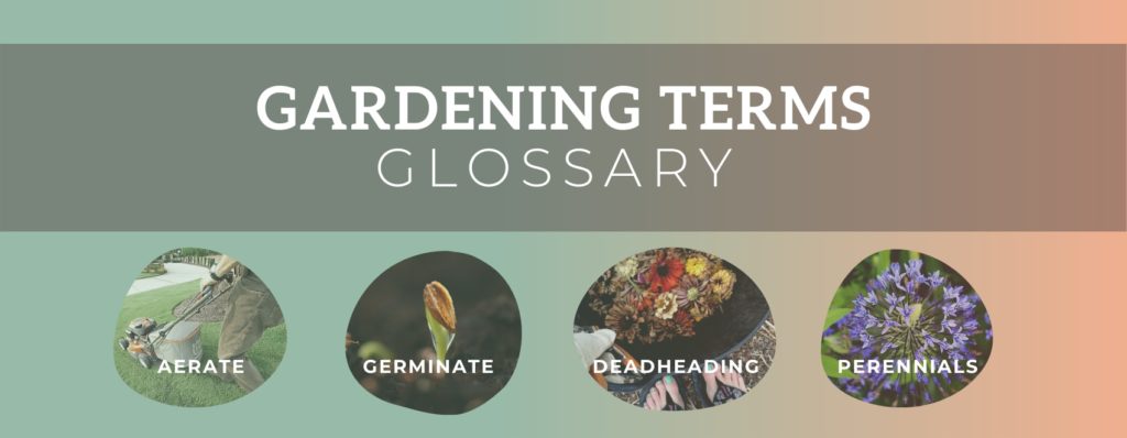 gardening terms glossary