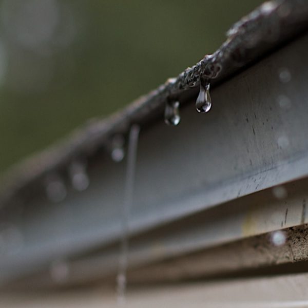 harvesting rain water through gutter