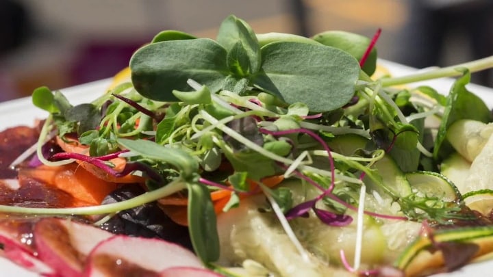 homemade microgreen salad