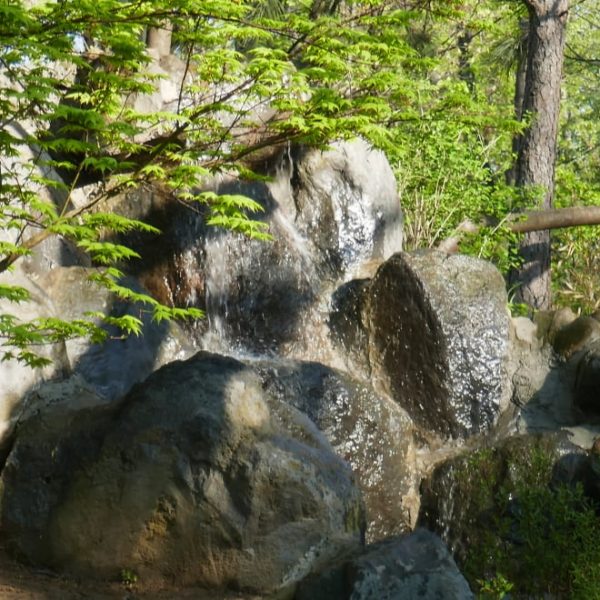 huge rocks in the garden