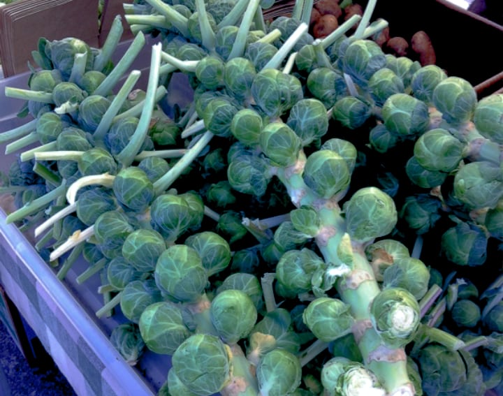 jade cross brussel sprouts