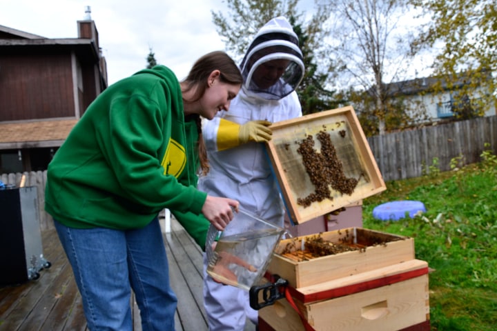 joy of keeping bees