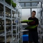 man in microgreen farm