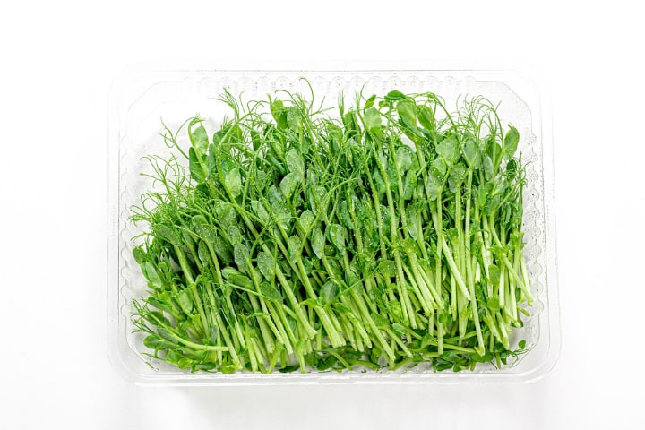 pea microgreens