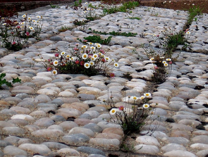 pebble rock garden
