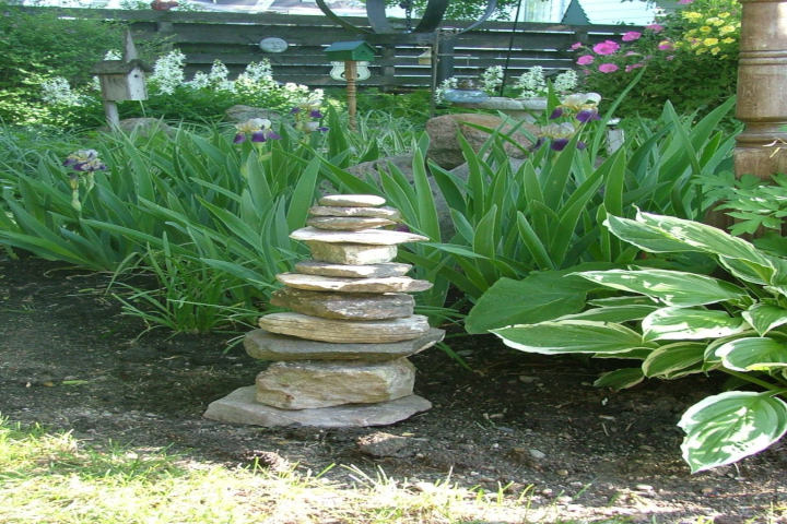 rain garden with rocks