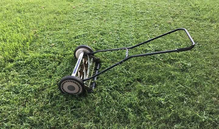 reel push mower